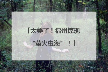 太美了！福州惊现“萤火虫海”！
