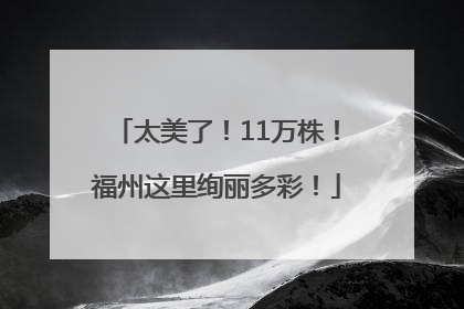 太美了！11万株！福州这里绚丽多彩！