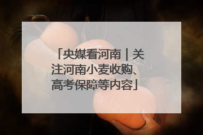 央媒看河南｜关注河南小麦收购、高考保障等内容