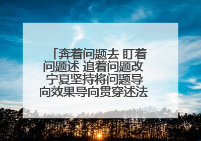 奔着问题去 盯着问题述 追着问题改 宁夏坚持将问题导向效果导向贯穿述法工作始终