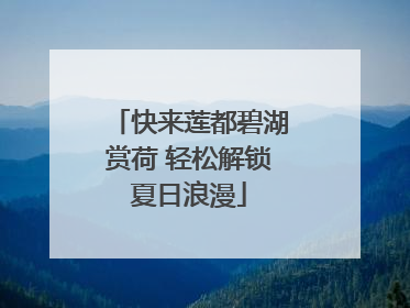 快来莲都碧湖赏荷 轻松解锁夏日浪漫