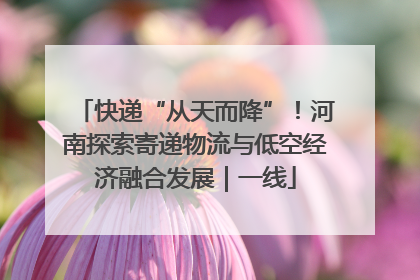 快递“从天而降”！河南探索寄递物流与低空经济融合发展｜一线