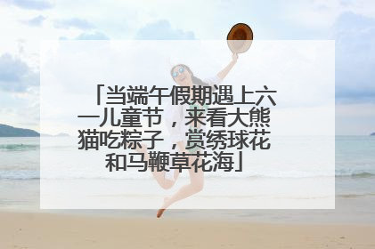 当端午假期遇上六一儿童节，来看大熊猫吃粽子，赏绣球花和马鞭草花海