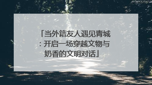 当外籍友人遇见青城：开启一场穿越文物与奶香的文明对话