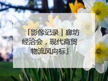 影像记录｜廊坊经洽会，现代商贸物流风向标