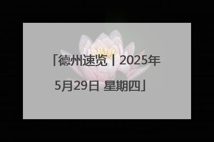 德州速览丨2025年5月29日 星期四