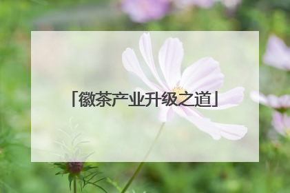 徽茶产业升级之道