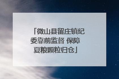 微山县留庄镇纪委靠前监督 保障夏粮颗粒归仓