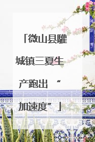 微山县驩城镇三夏生产跑出 “加速度”