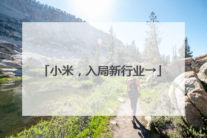 小米，入局新行业→