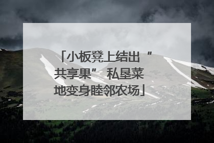 小板凳上结出“共享果” 私垦菜地变身睦邻农场