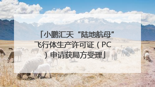 小鹏汇天“陆地航母”飞行体生产许可证（PC）申请获局方受理
