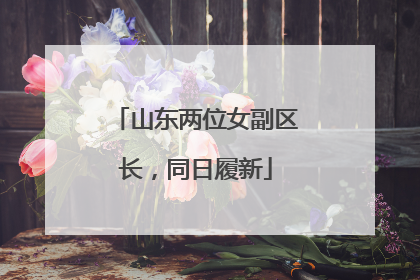 山东两位女副区长，同日履新
