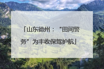 山东德州：“田间警务”为丰收保驾护航