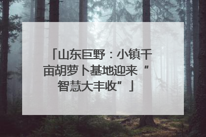 山东巨野：小镇千亩胡萝卜基地迎来“智慧大丰收”