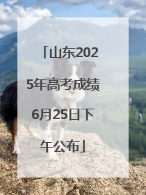 山东2025年高考成绩6月25日下午公布