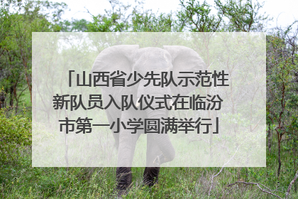 山西省少先队示范性新队员入队仪式在临汾市第一小学圆满举行