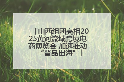 山西组团亮相2025黄河流域跨境电商博览会 加速推动“晋品出海”