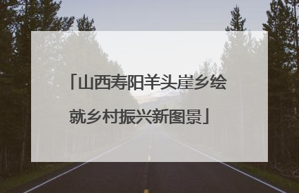 山西寿阳羊头崖乡绘就乡村振兴新图景
