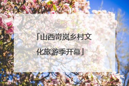 山西岢岚乡村文化旅游季开幕