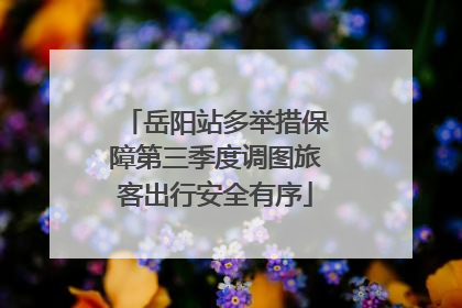 岳阳站多举措保障第三季度调图旅客出行安全有序