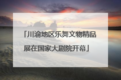 川渝地区乐舞文物精品展在国家大剧院开幕