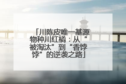 川陈皮唯一基源物种川红橘：从“被淘汰”到“香饽饽”的逆袭之路