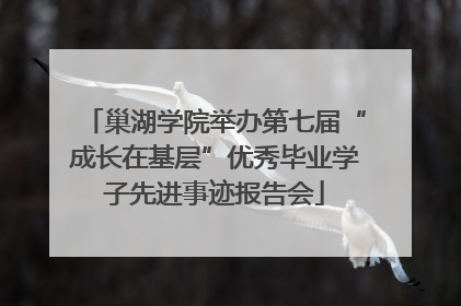 巢湖学院举办第七届“成长在基层”优秀毕业学子先进事迹报告会