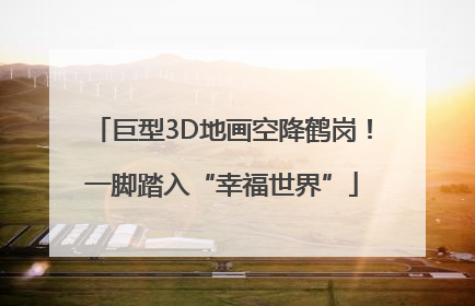 巨型3D地画空降鹤岗！一脚踏入“幸福世界”