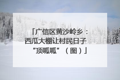 广信区黄沙岭乡：西瓜大棚让村民日子“顶呱呱”（图）