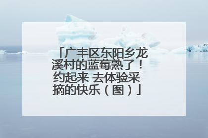 广丰区东阳乡龙溪村的蓝莓熟了！约起来 去体验采摘的快乐（图）