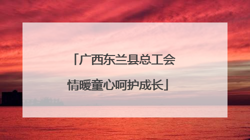广西东兰县总工会情暖童心呵护成长