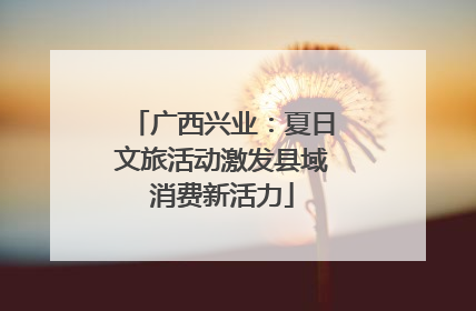 广西兴业：夏日文旅活动激发县域消费新活力