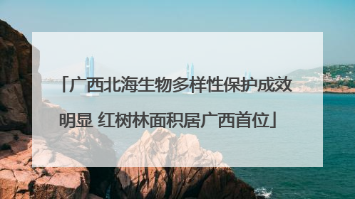 广西北海生物多样性保护成效明显 红树林面积居广西首位