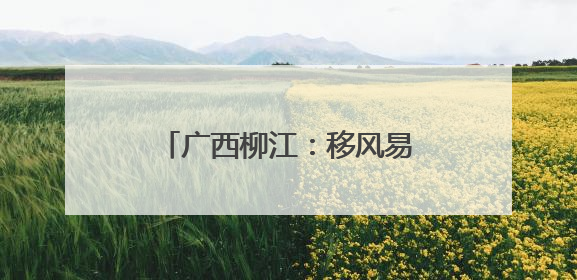 广西柳江：移风易俗赋能乡村振兴