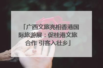 广西文旅亮相香港国际旅游展：促桂港文旅合作 引客入壮乡