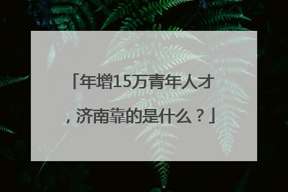 年增15万青年人才，济南靠的是什么？