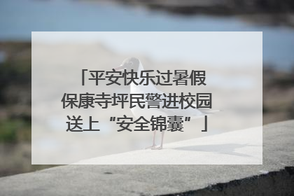 平安快乐过暑假 保康寺坪民警进校园送上“安全锦囊”