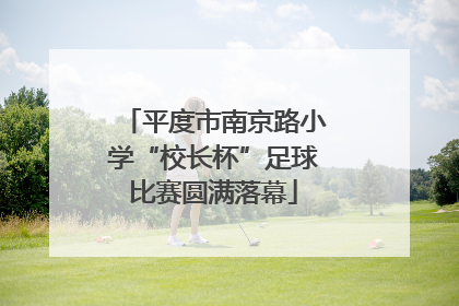 平度市南京路小学“校长杯”足球比赛圆满落幕