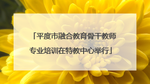 平度市融合教育骨干教师专业培训在特教中心举行