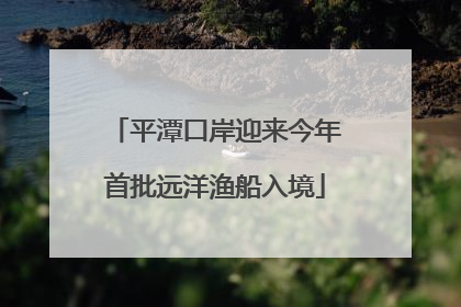 平潭口岸迎来今年首批远洋渔船入境