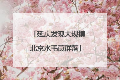 延庆发现大规模北京水毛茛群落