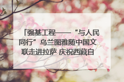 强基工程——“与人民同行”乌兰图雅随中国文联走进拉萨 庆祝西藏自治区成立60周年