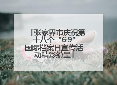 张家界市庆祝第十八个“6·9”国际档案日宣传活动精彩纷呈