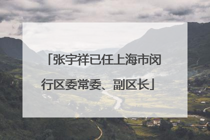 张宇祥已任上海市闵行区委常委、副区长
