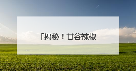 揭秘！甘谷辣椒火爆出圈的密码