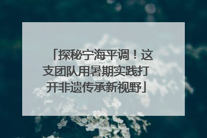 探秘宁海平调！这支团队用暑期实践打开非遗传承新视野