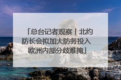 总台记者观察丨北约防长会拟加大防务投入 欧洲内部分歧难掩