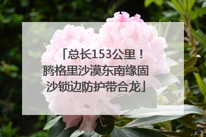 总长153公里！腾格里沙漠东南缘固沙锁边防护带合龙