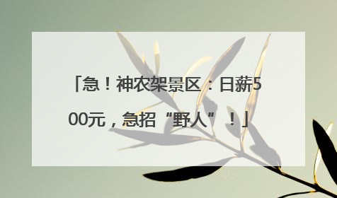 急！神农架景区：日薪500元，急招“野人”！